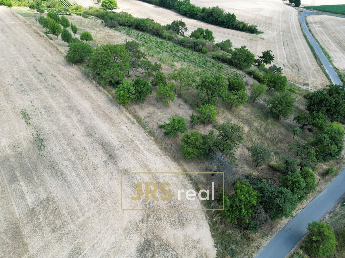 Prodej sadu, vinice 1046 m², Kyjov – fotka 1 z 3