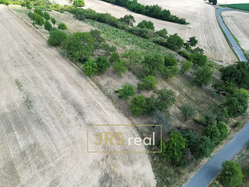 Prodej sadu, vinice 1046 m², Kyjov – náhled fotky 1