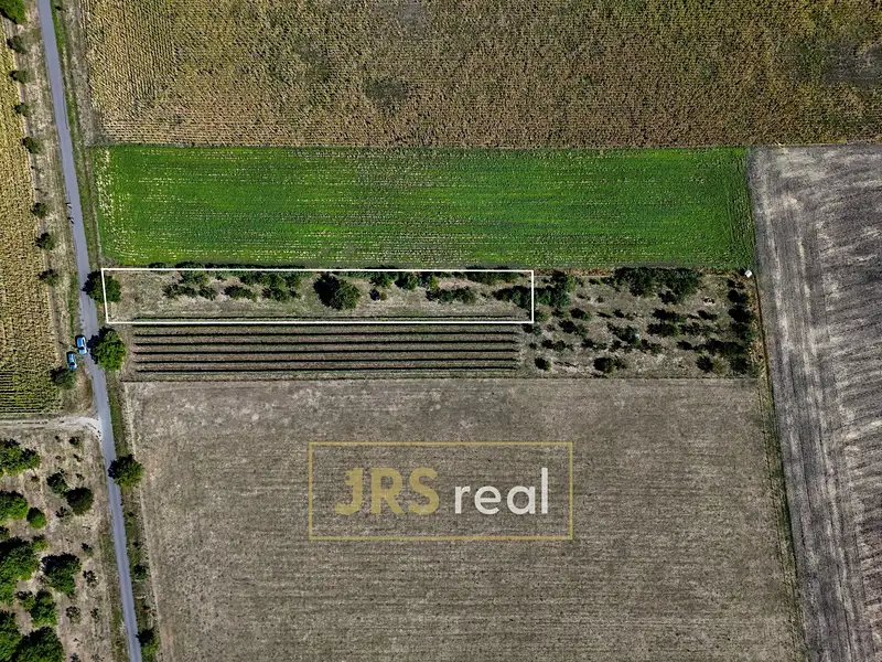 Prodej zahrady 1610 m², Šakvice – náhled fotky 2