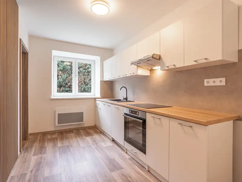 Prodej bytu 2+1 48 m², Nový Malín – náhled fotky 1