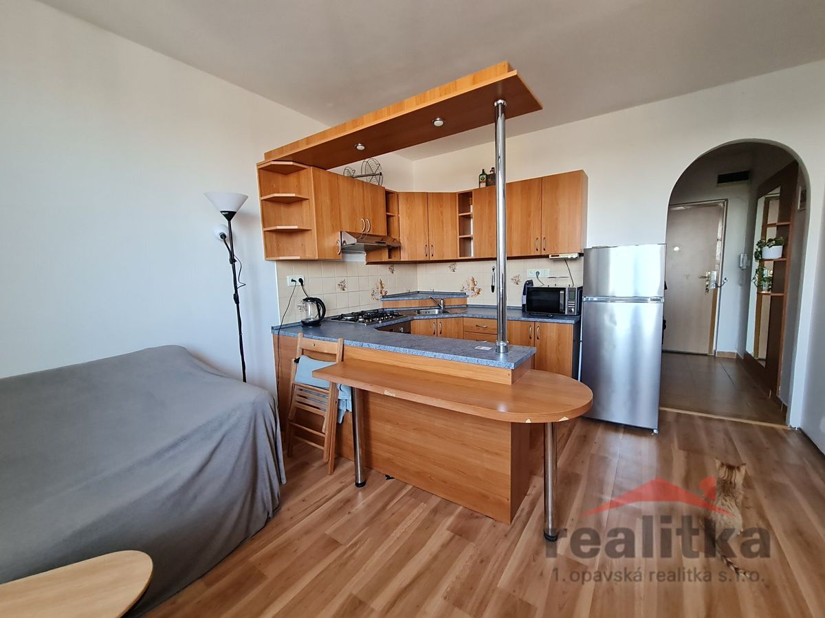 Pronájem bytu 1+1 40 m²