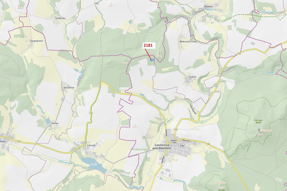 Dražba lesa 4236 m², Louňovice pod Blaníkem – fotka 1 z 3