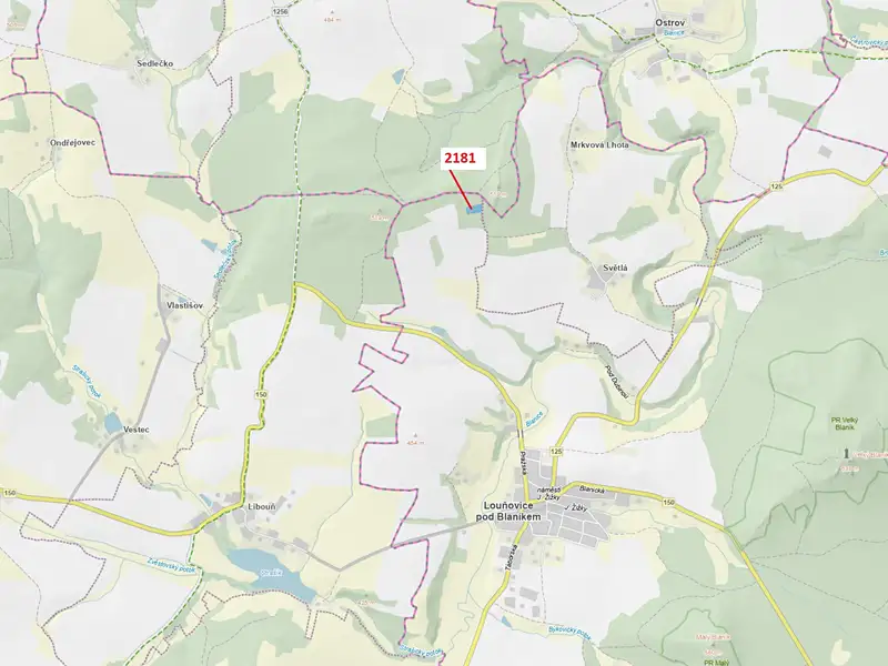 Dražba lesa 4236 m², Louňovice pod Blaníkem – náhled fotky 1