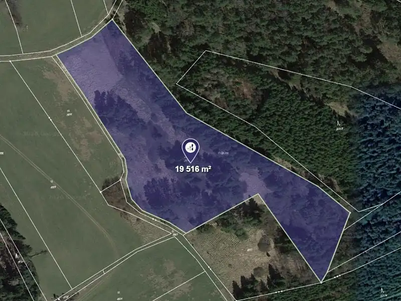 Prodej pozemku 19516 m², Lodhéřov – náhled fotky 1