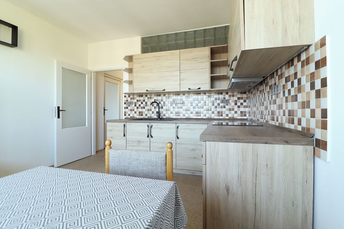 Pronájem bytu 1+1 47 m² – fotografie 4