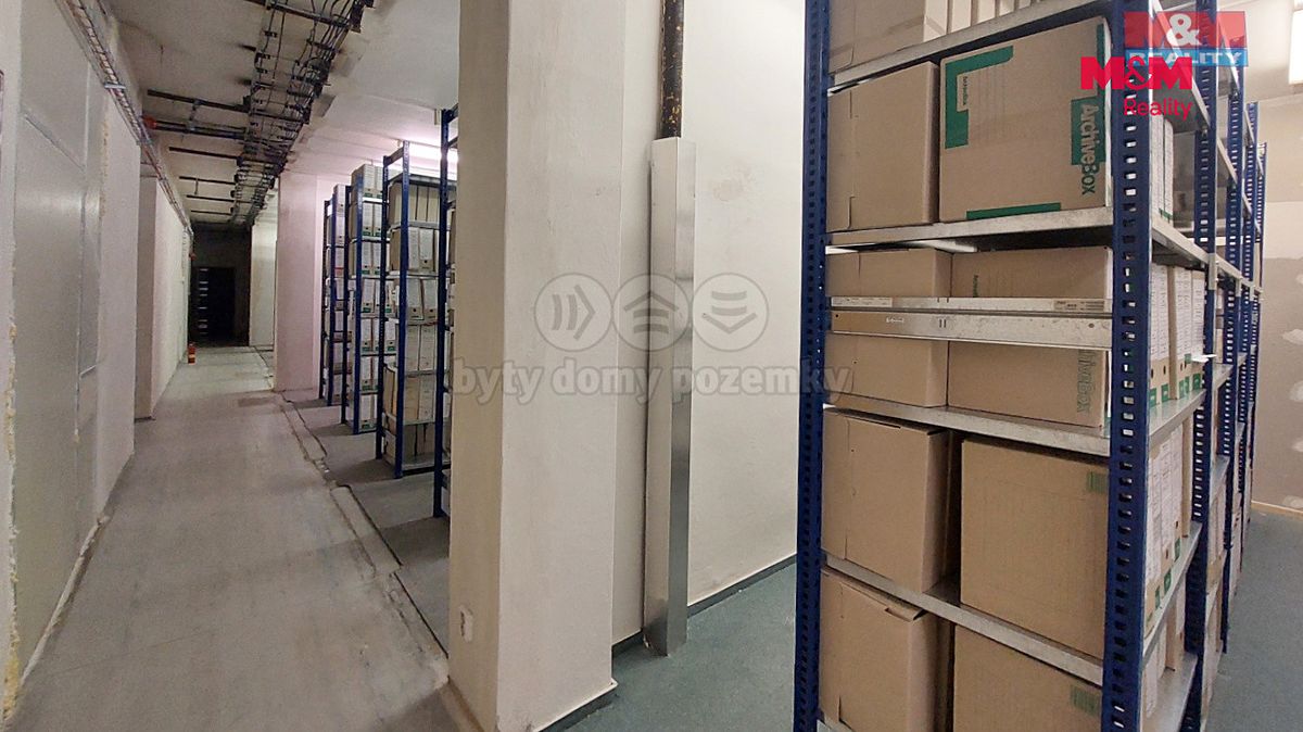 Pronájem obchodního prostoru 450 m² – fotografie 5
