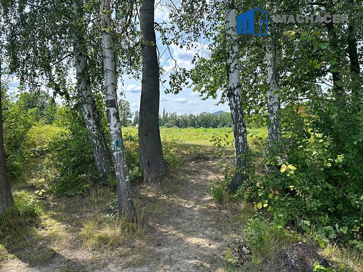Grundstück zum Kauf, 341 m² (17 von 20)