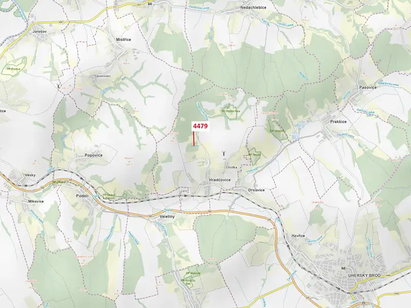 Dražba lesa 782 m², Hradčovice – náhled fotky 1