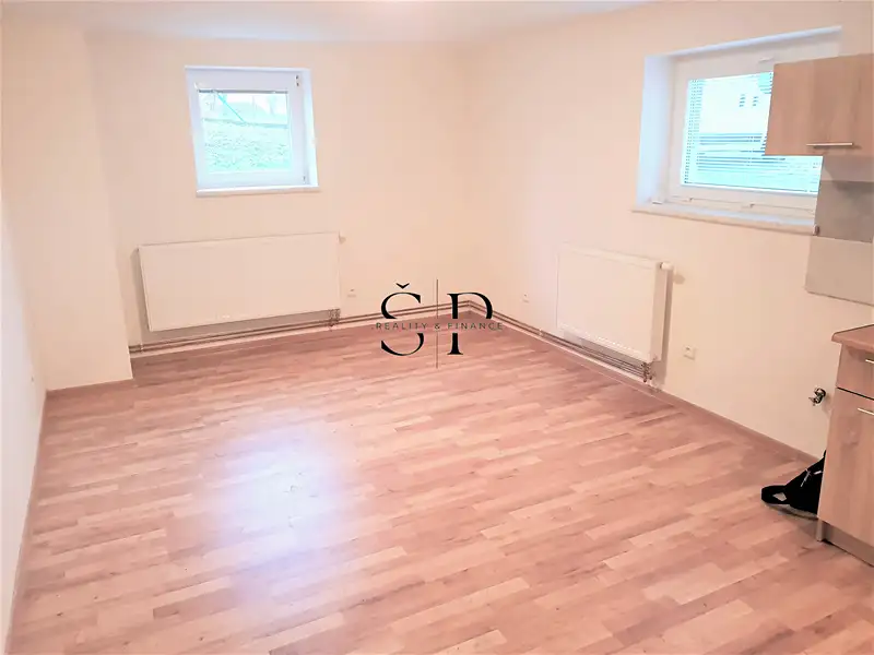 Pronájem bytu 1+kk 40 m², Dražeň – náhled fotky 2