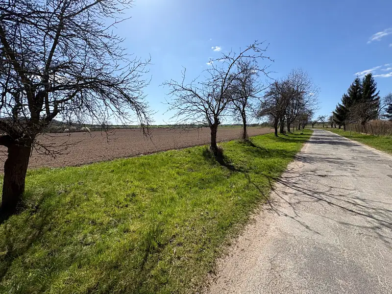 Prodej stavebního pozemku 3800 m², Chocnějovice – náhled fotky 2