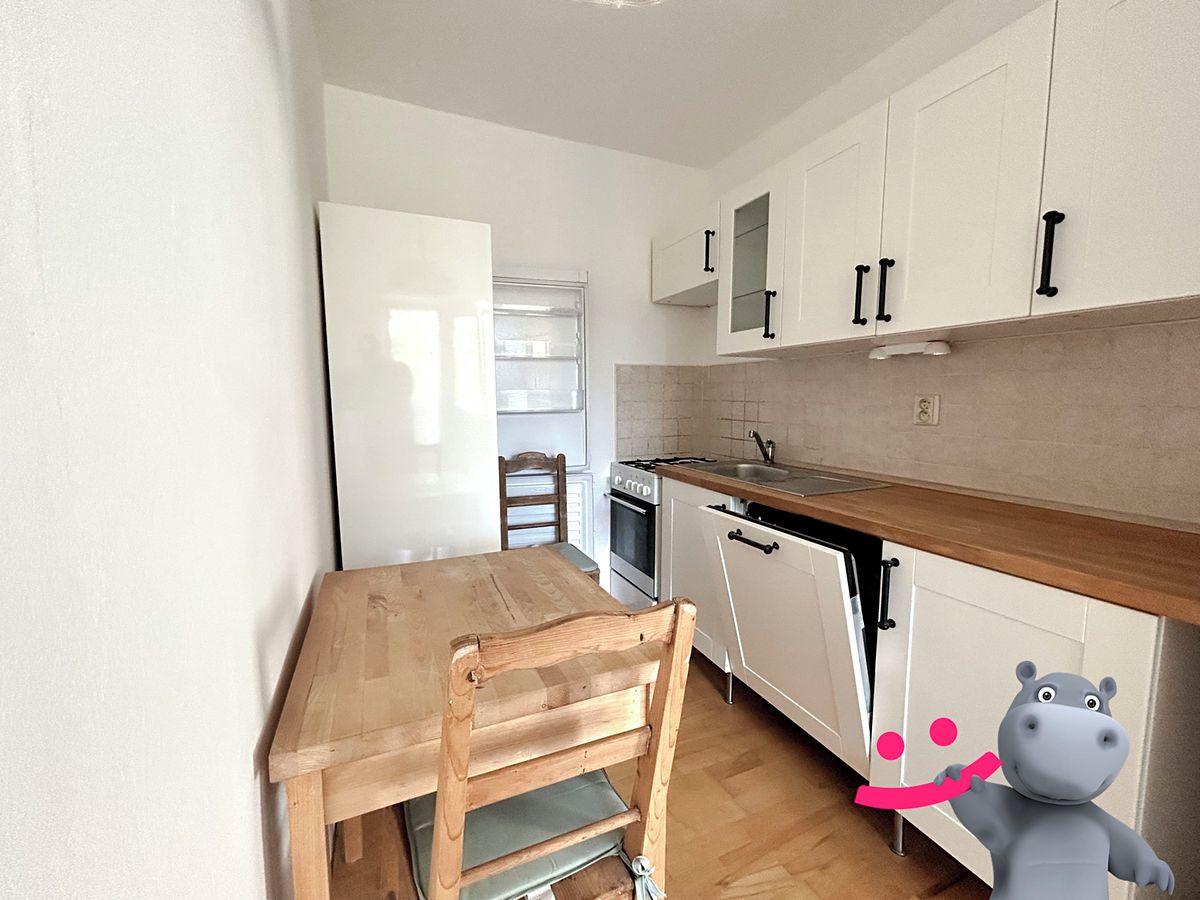 Pronájem bytu 1+kk 33 m² – fotografie 5