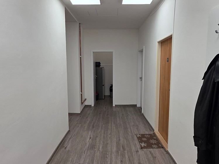 Pronájem komerčního prostoru, 20 m² (11 z 12)