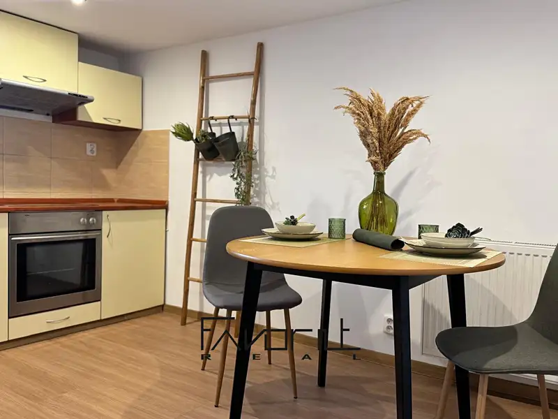 Pronájem bytu 1+1 53 m², Ostrava – náhled fotky 3