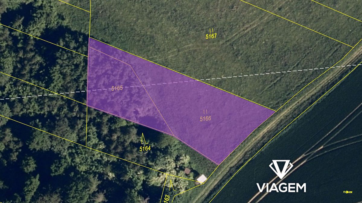 Prodej pole 1538 m² – fotografie 4