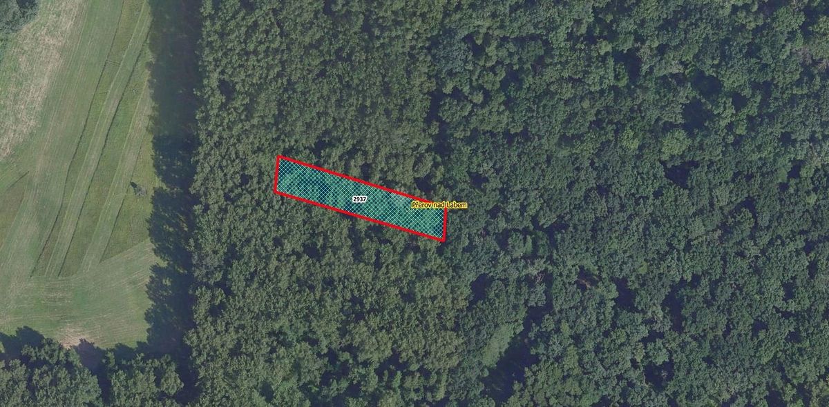 Prodej lesa 1975 m², Přerov nad Labem – fotka 1 z 3