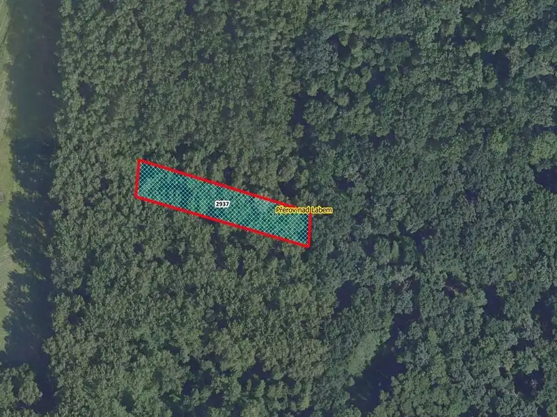 Prodej lesa 1975 m², Přerov nad Labem – náhled fotky 1