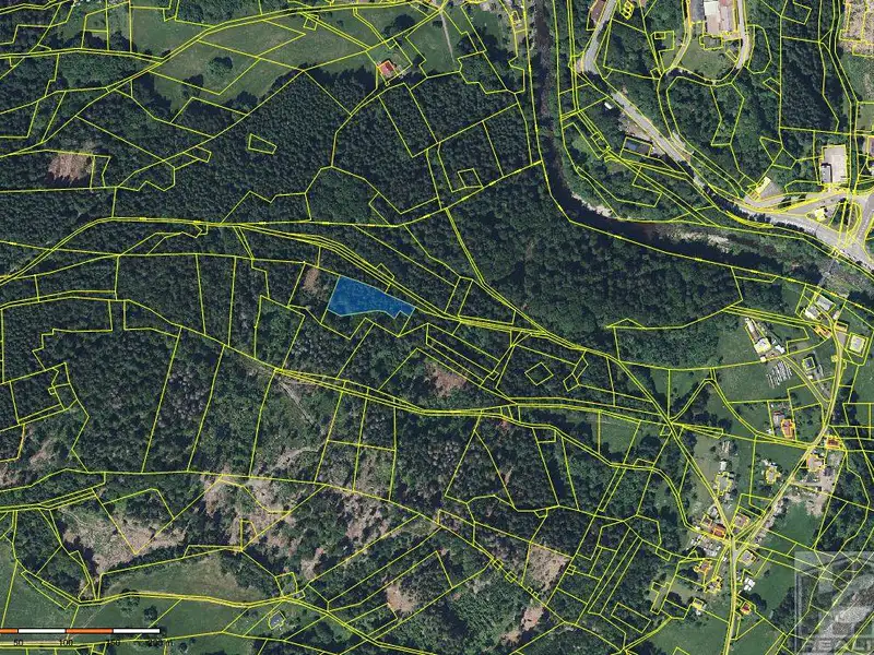 Prodej lesa 2272 m², Paseky nad Jizerou – náhled fotky 3