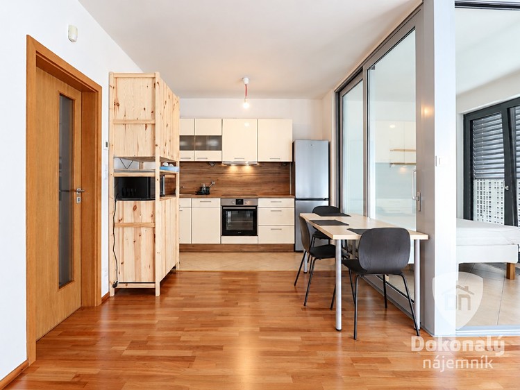 Pronájem bytu 1+1, 48 m² (5 z 18)