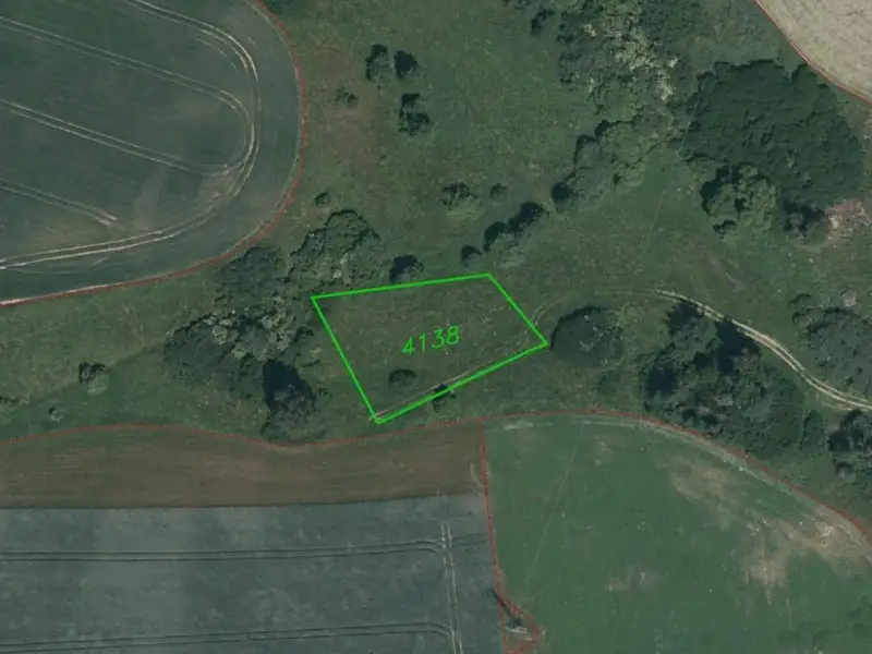 Dražba louky 1935 m², Tachov – náhled fotky 1