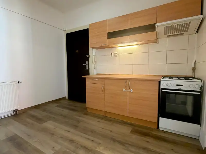 Pronájem bytu 2+kk 53 m², Praha – náhled fotky 3