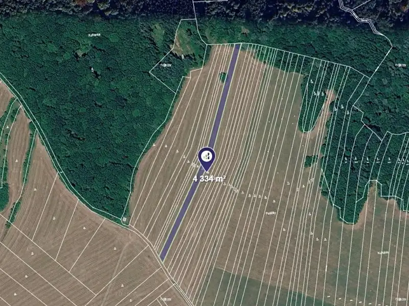 Prodej louky 4334 m², Zlámanec – náhled fotky 1