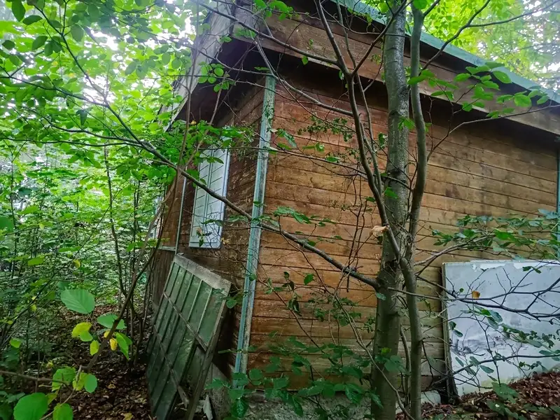 Prodej lesa 373 m², Štíty – náhled fotky 3