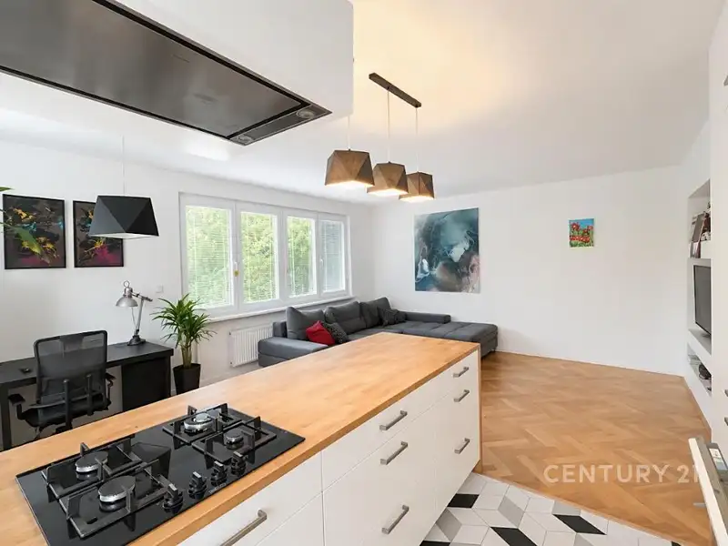 Pronájem bytu 3+kk 75 m², Praha – náhled fotky 1