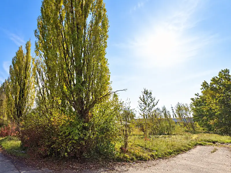 Prodej komerčního pozemku 9932 m², Ostrava – náhled fotky 2