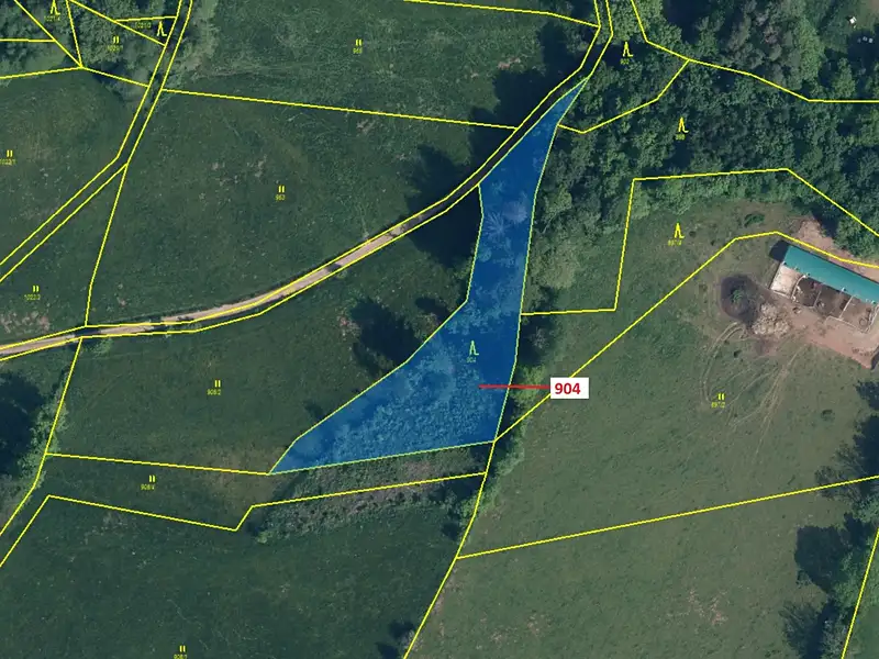 Dražba lesa 2802 m², Bystrá nad Jizerou – náhled fotky 2