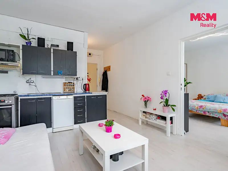 Prodej bytu 1+1 36 m², Jindřichův Hradec – náhled fotky 2