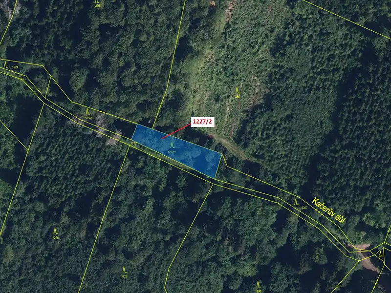 Dražba lesa 860 m², Horní Studénky – náhled fotky 2