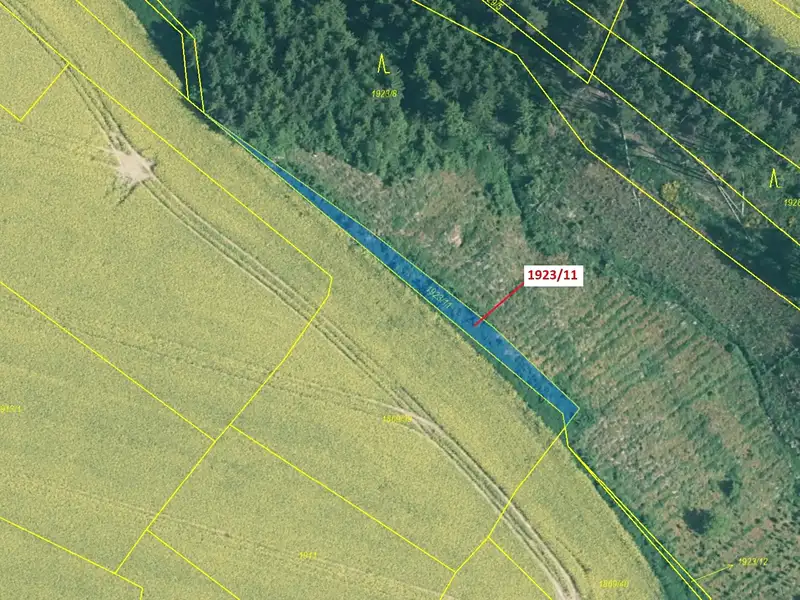 Dražba lesa 323 m², Hosty – náhled fotky 2