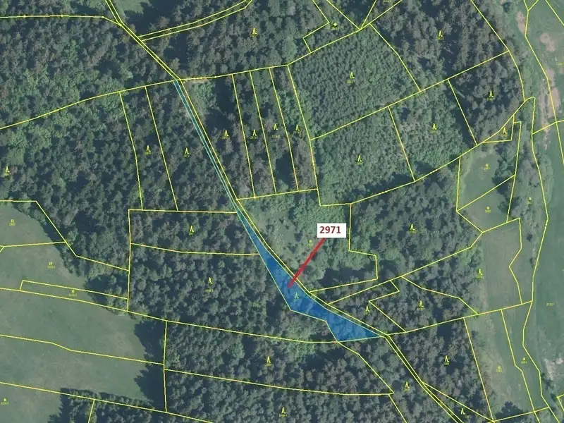 Dražba lesa 1723 m², Lačnov – náhled fotky 2