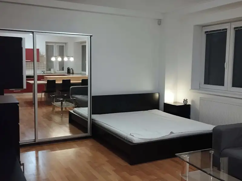 Pronájem bytu 1+kk 50 m², Praha – náhled fotky 2