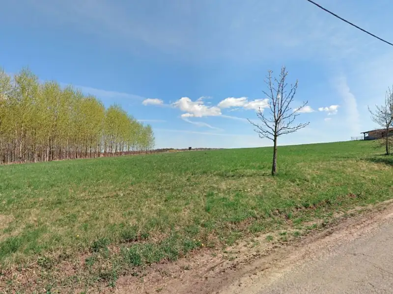 Prodej stavebního pozemku 3674 m², Běchary – náhled fotky 3