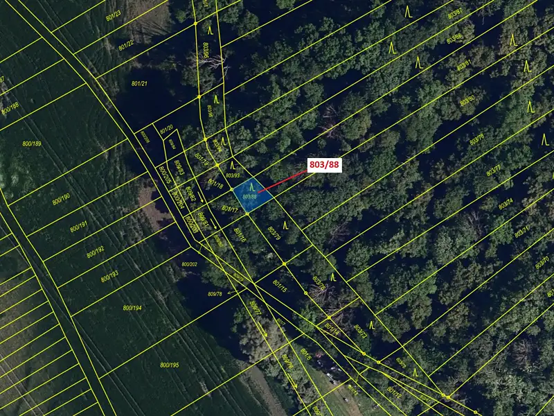 Dražba lesa 107 m², Přísnotice – náhled fotky 2