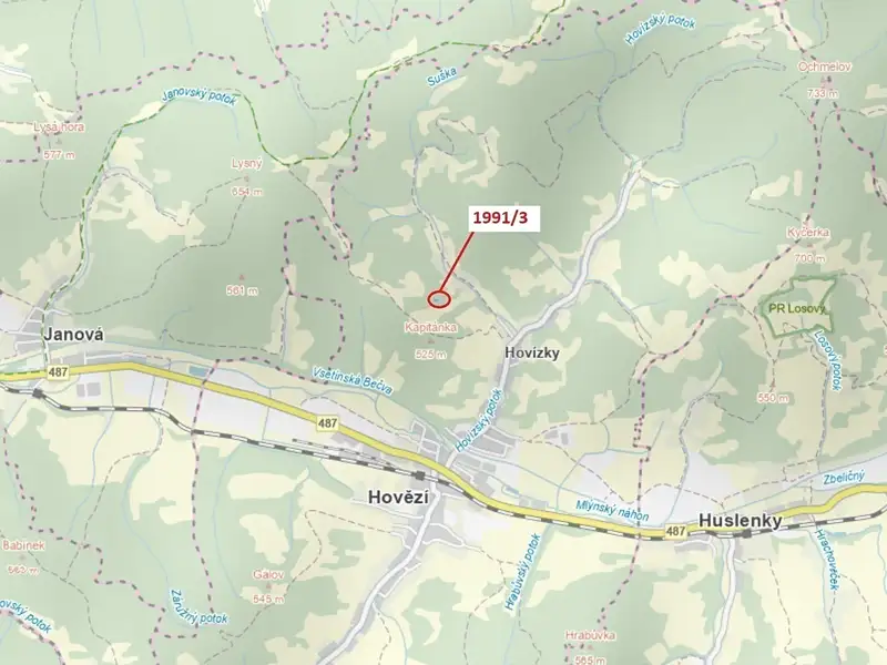 Dražba lesa 115 m², Hovězí – náhled fotky 1