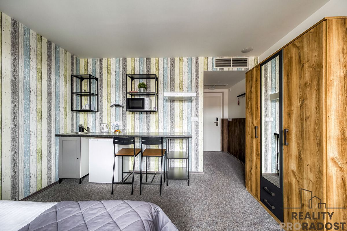 Pronájem bytu 1+kk 24 m² – fotografie 2