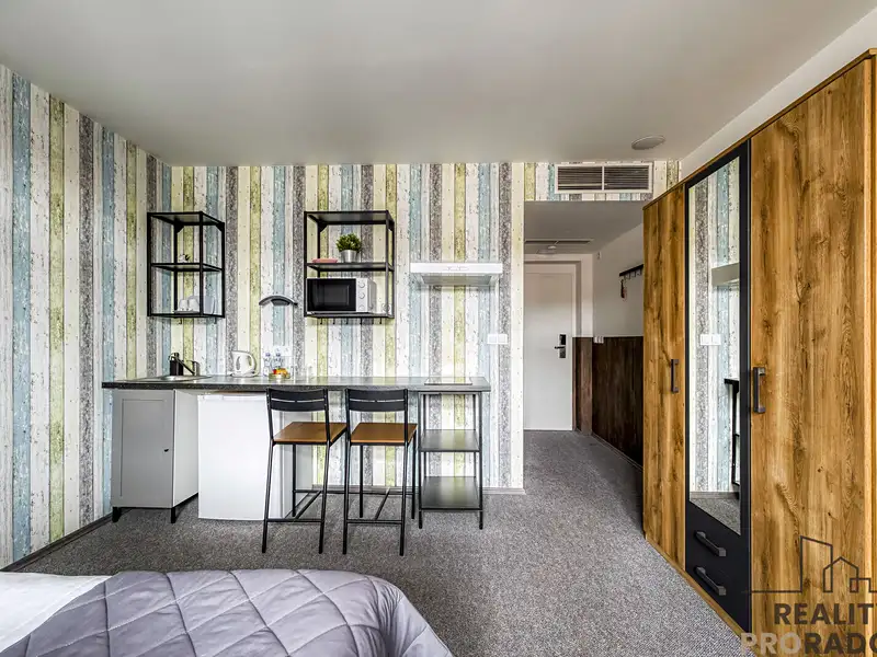 Pronájem bytu 1+kk 24 m², Praha – náhled fotky 2