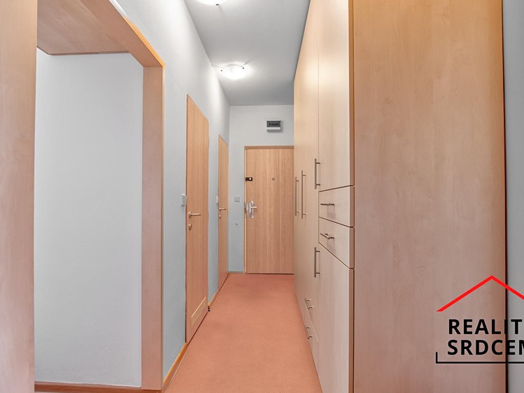 Pronájem bytu 2+1, 55 m² (15 z 16)