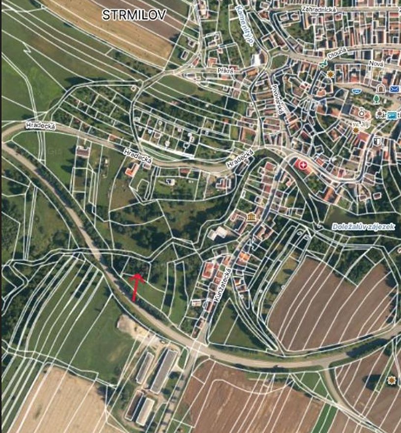 Prodej lesa 1666 m² – fotografie 5