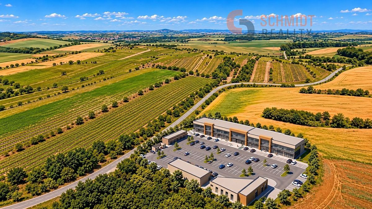 Prodej komerčního pozemku 11006 m² – fotografie 3
