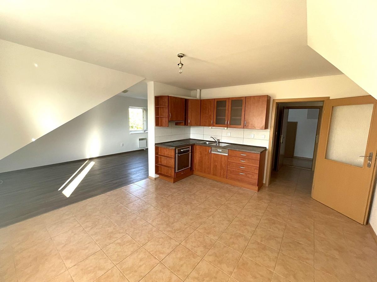 Pronájem bytu 1+kk 55 m²