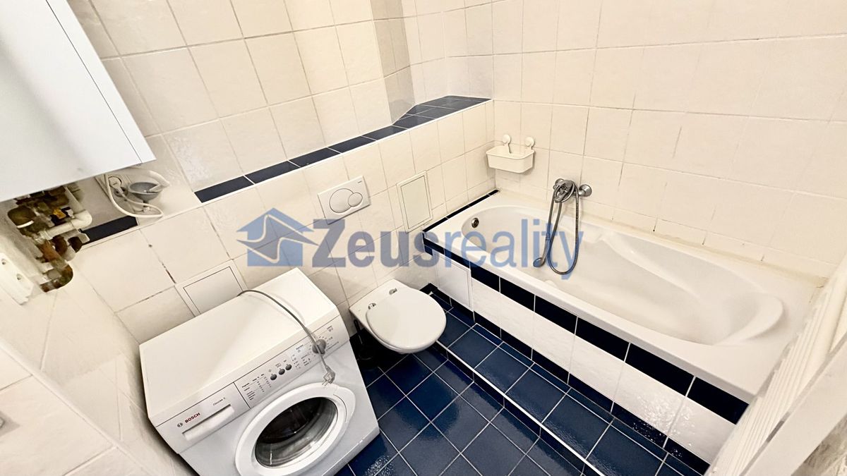 Pronájem bytu 1+1 47 m² – fotografie 4