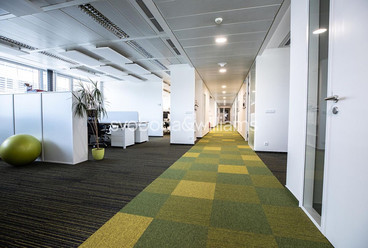 Pronájem kanceláře 281 m² – fotografie 3