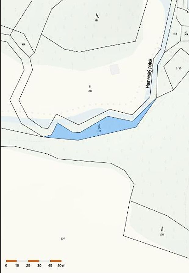 Prodej lesa 881 m² – fotografie 2