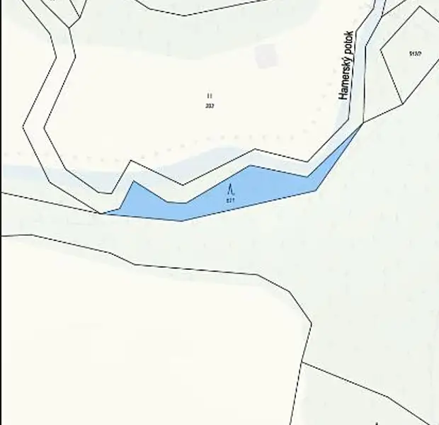 Prodej lesa 881 m², Strmilov – náhled fotky 2