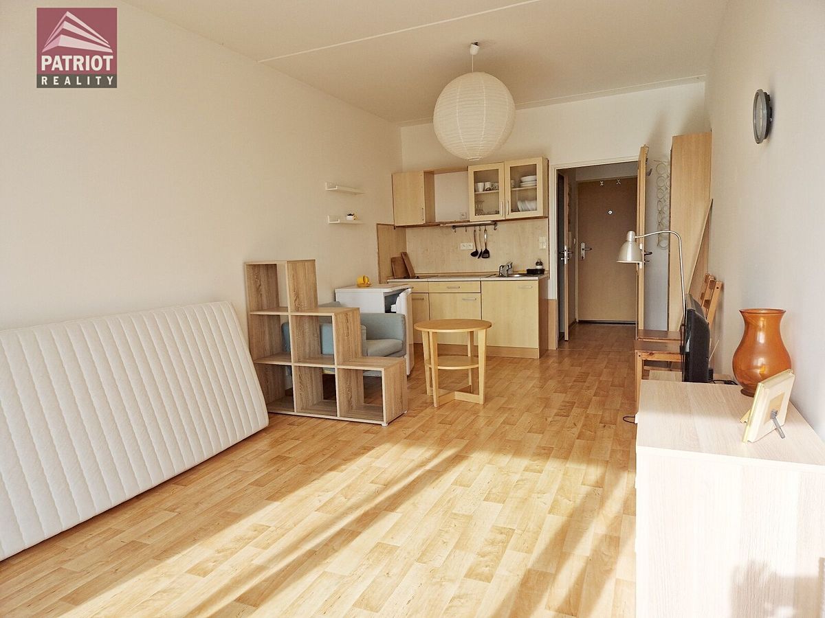 Pronájem bytu 1+kk 31 m² – fotografie 2