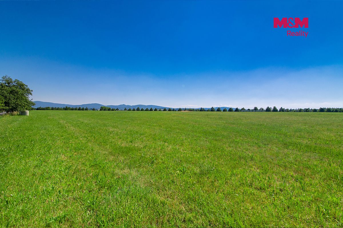 Prodej stavebního pozemku 5000 m² – fotografie 3