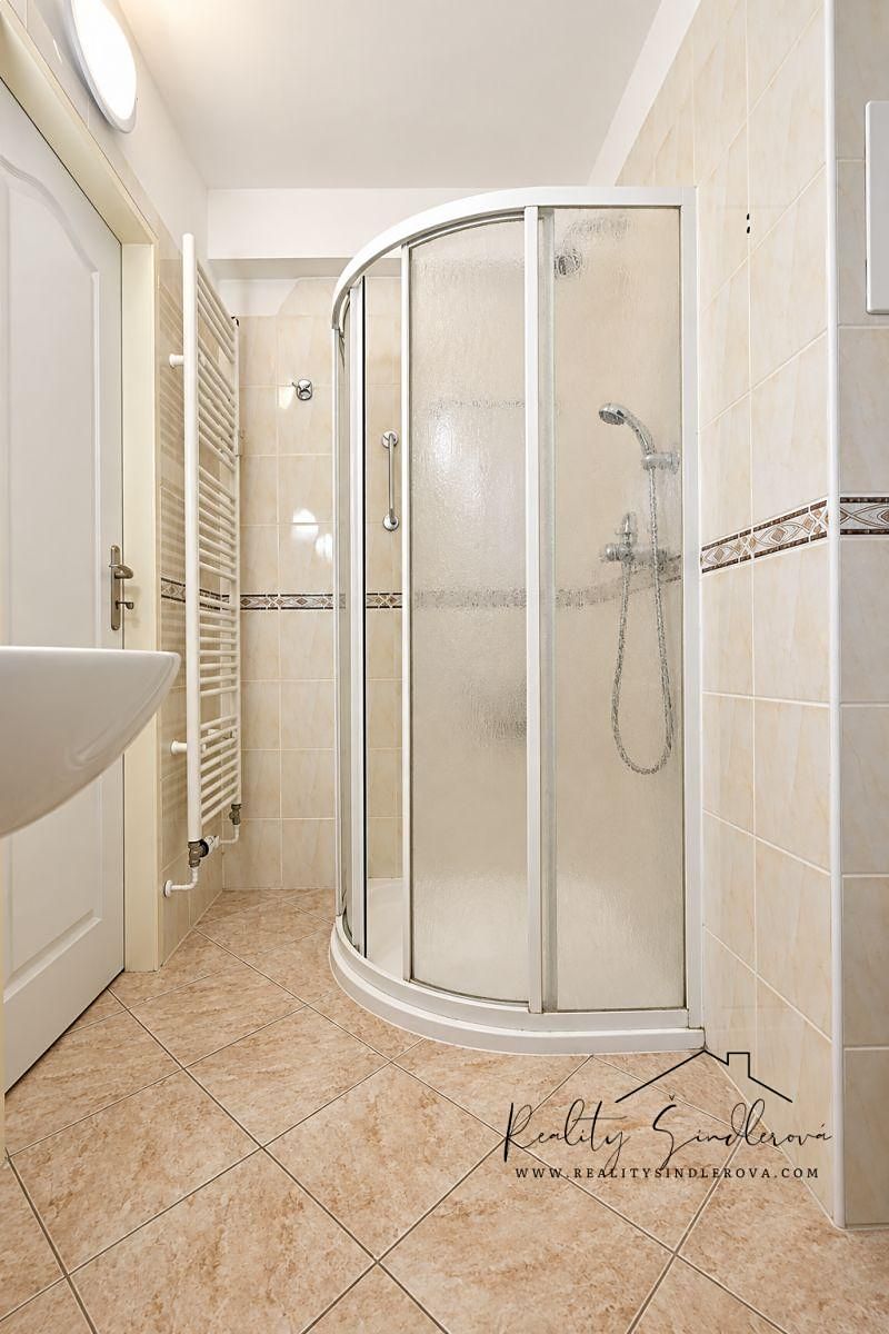 Pronájem bytu 1+1 45 m² – fotografie 5